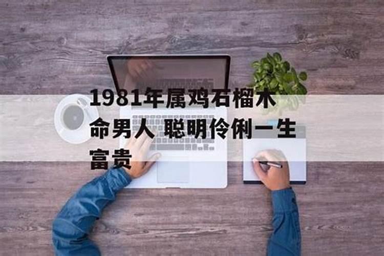 1981年属鸡石榴木命女人一生精明能干财运亨通？