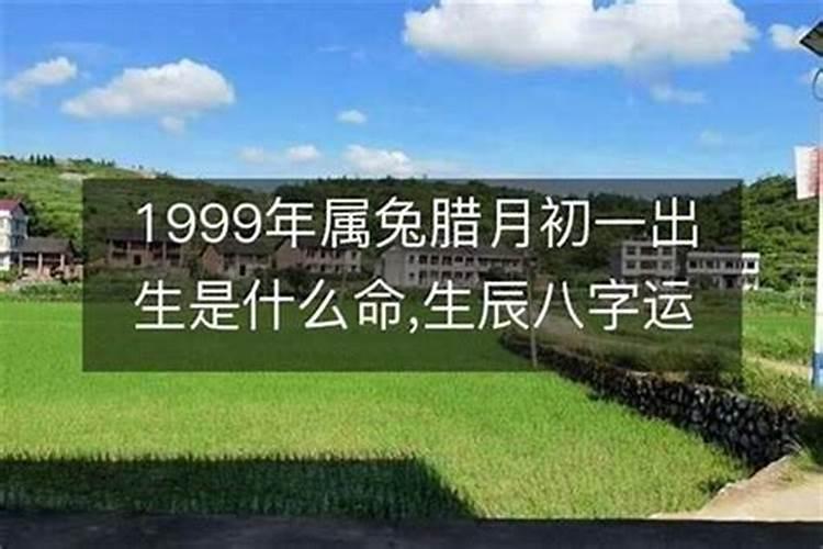 腊月二十出生的男孩五行缺什么是什么命？