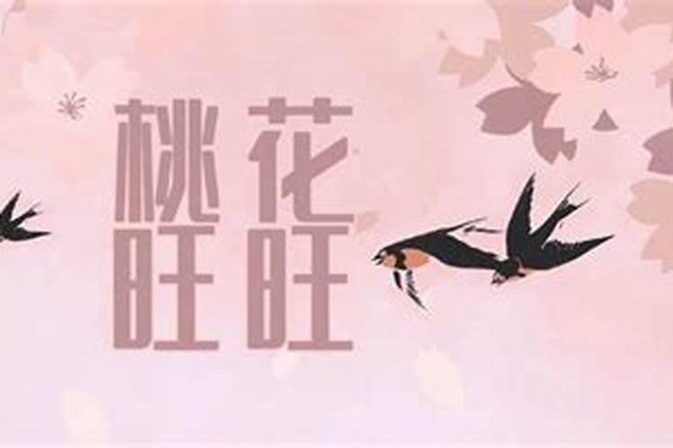 84属鼠2025年的桃花