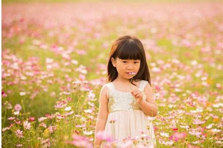 属相狗四月份运势如何,94年属狗阴历4月初3运势怎么样