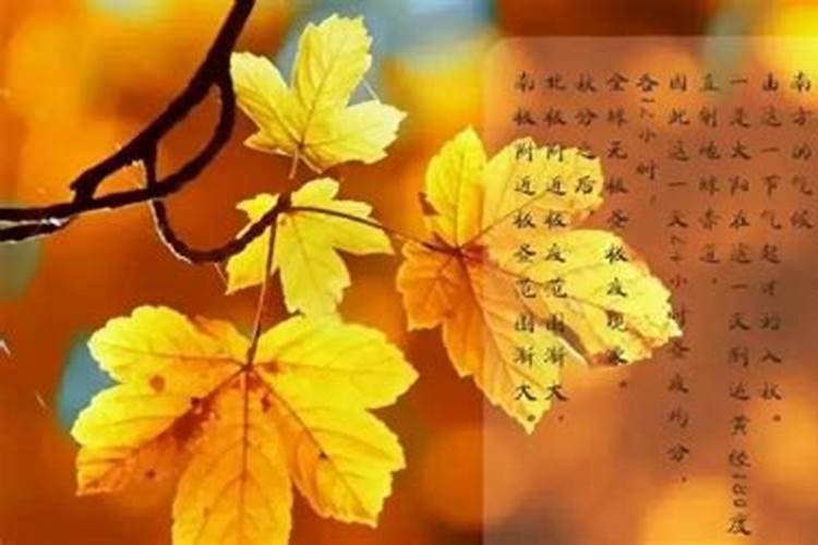 秋分节气养生运动盘点？