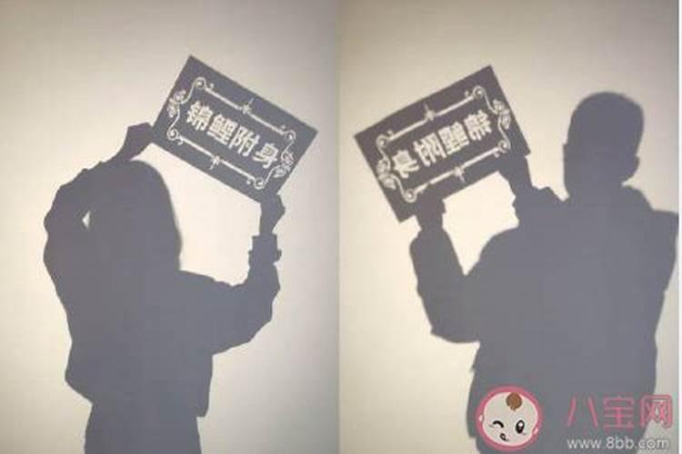 属龙和属鼠的合得来吗,属龙的和属鼠相合吗