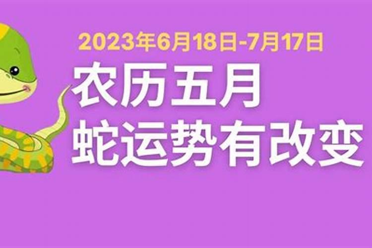 农历5月份出生的属龙人运势