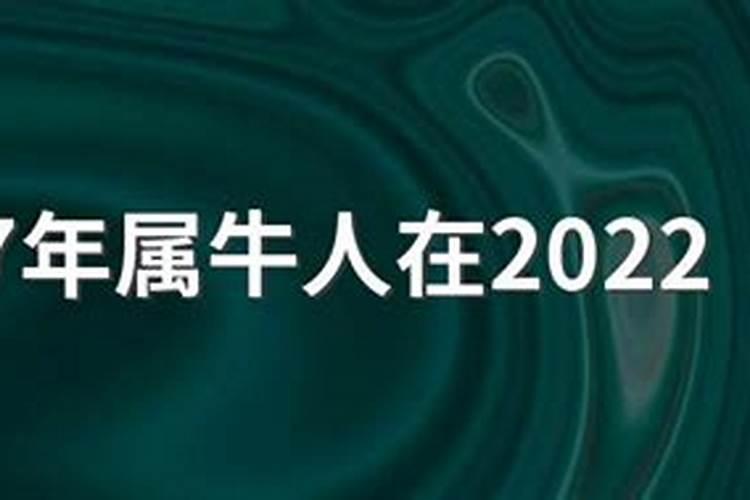 属牛人2025年全年运势详解1997