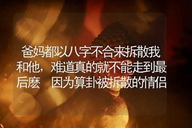 十月初一出生的男孩的命运将会
