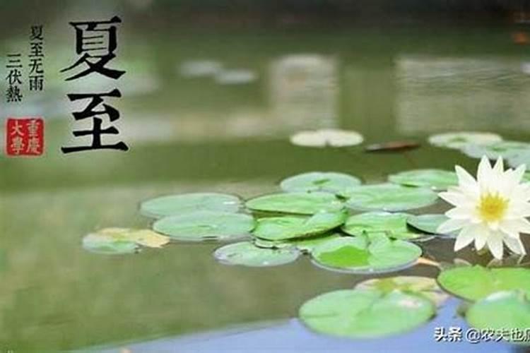 夏至几号