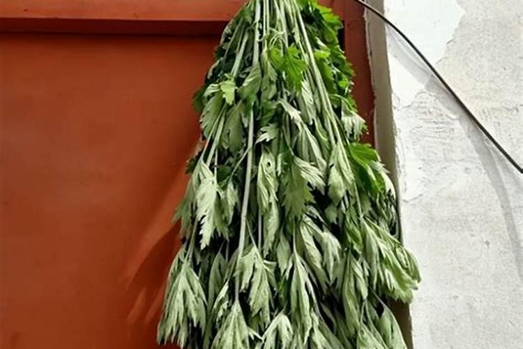 端午节的艾草挂在哪里？