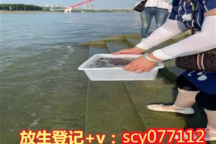 放生的日子是哪天？