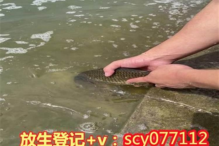 哪位老师知道佛教放生日是哪天
