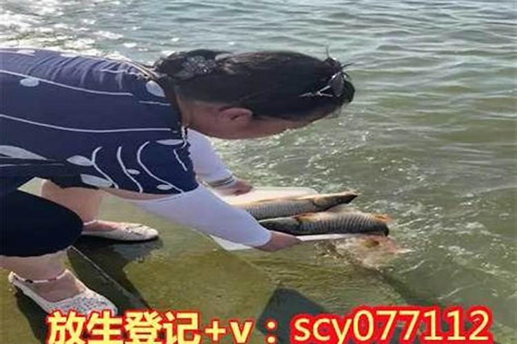 一天放生什么时间最好 清明节可以放生吗