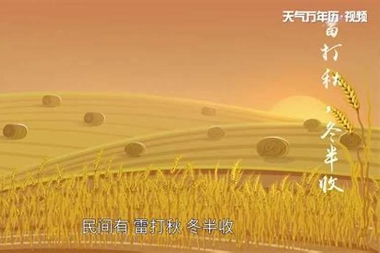 梦见前妻回家了是什么意思