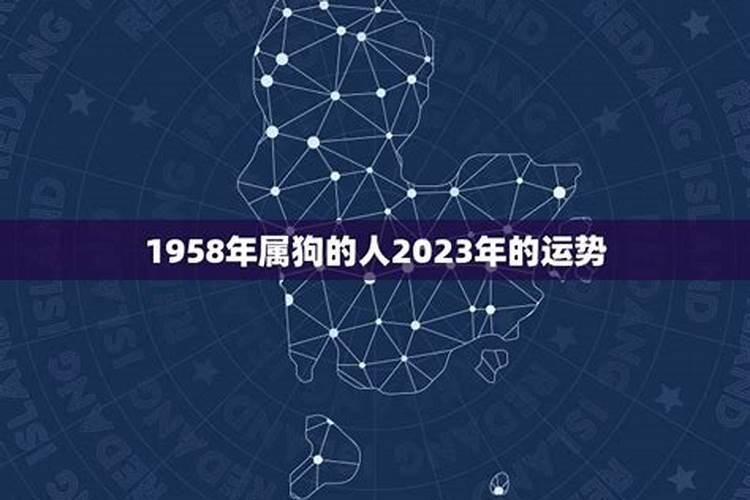 梦见母狮子什么预兆