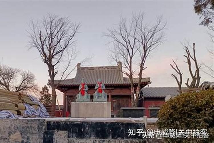属蛇的四月初十出生的人好不好,农历四月出生的属蛇人