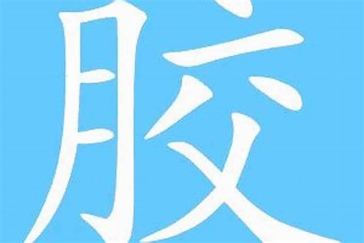 属马人2025年全年运势运程