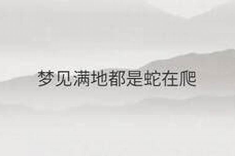 端午假期大家都去哪儿玩了？