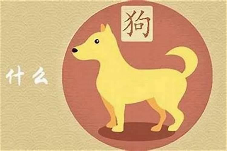 6月生肖狗好不好 属狗农历6月出生运势如何