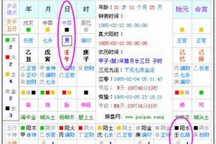 12月属狗的人命好吗 十二月出生的狗怎么样