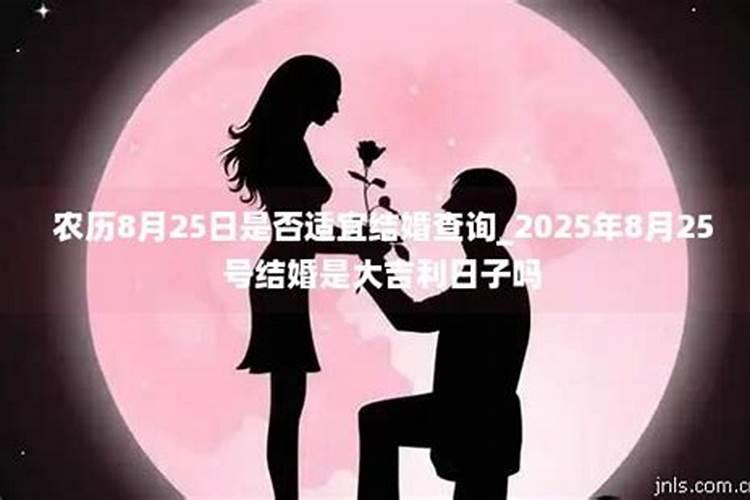 梦见狮子老虎追着我的预兆