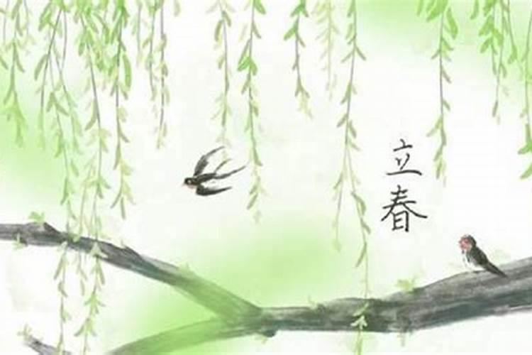 76年属龙人2025全年运势详解