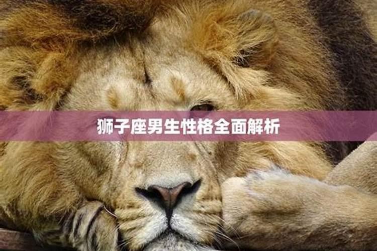 狮子座男生性格特点爱情观