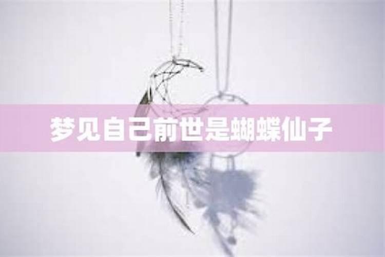 梦见仙子
