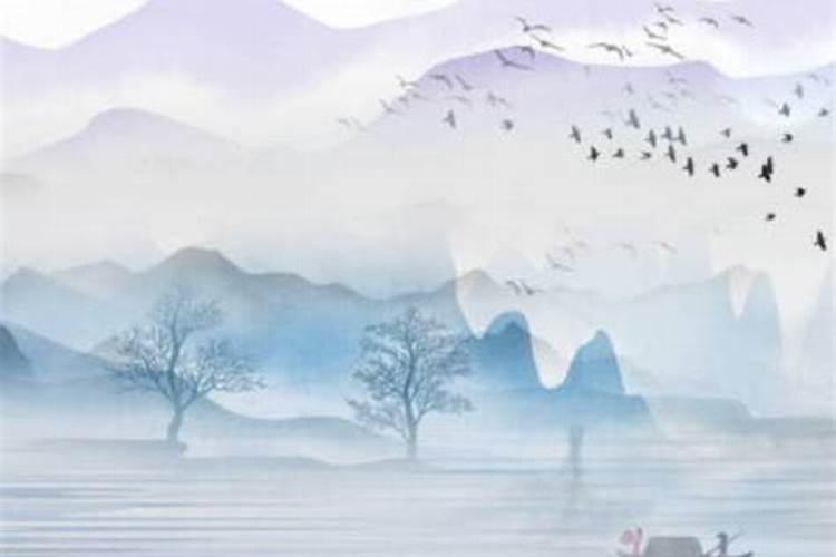 易经大师邵伟华简介史