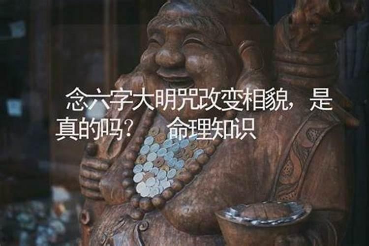 梦见好多土坟头预示什么意思