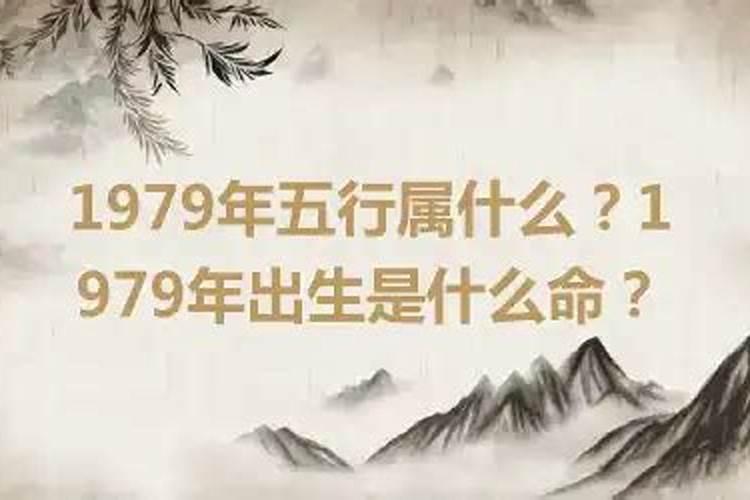 一本万利打一生肖,最佳答案是什么