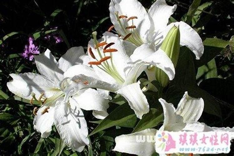 八字判断格局,怎样看八字格局