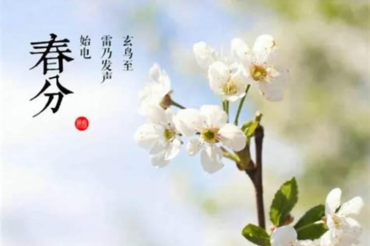 梦见爸爸抬黑棺材的预兆