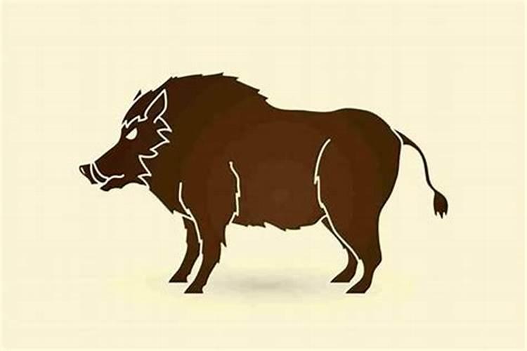 春节是指什么时间？