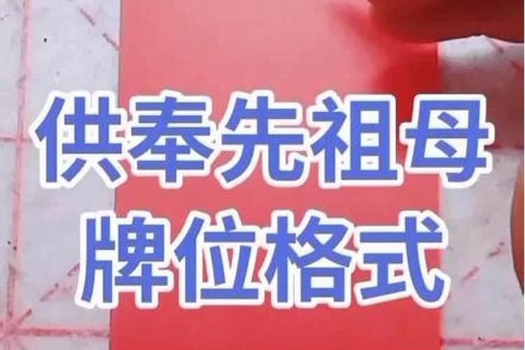 兔二爷兔二爷