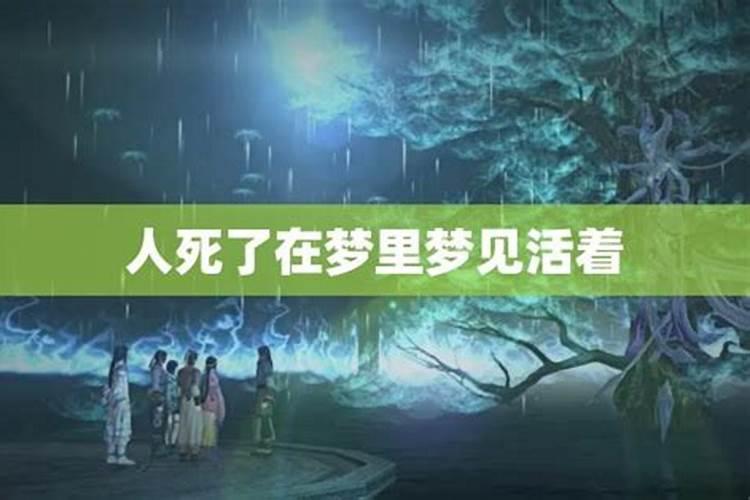 冬至吃什么补身体