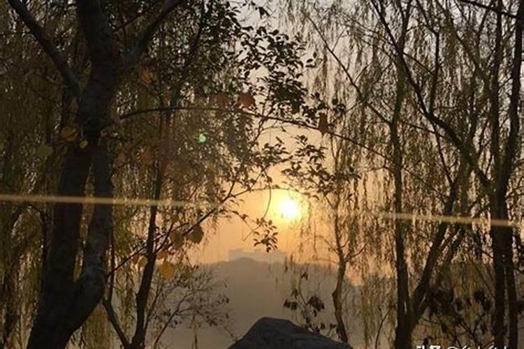 亥不嫁娶不利新郎什么意思