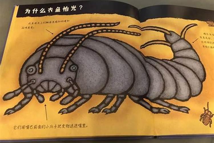 农历6月出生属鼠人命好吗