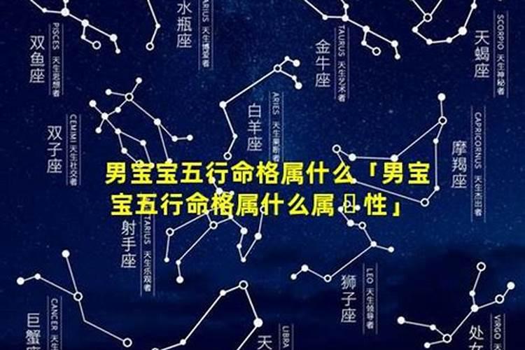 1993年属鸡2024年运势及运程每月运程