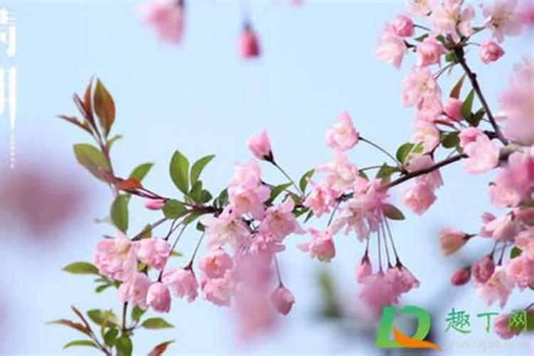 清明前三天交运都要注意什么