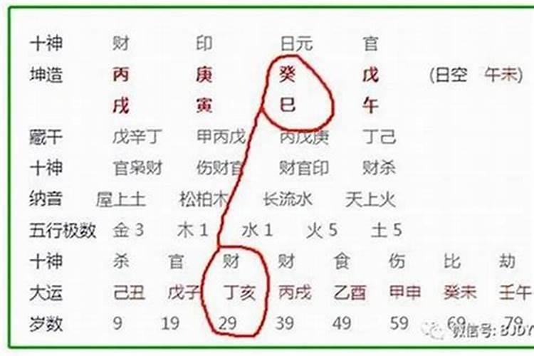 己酉年出生的人是什么命