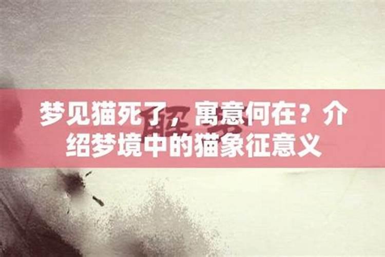 梦到猫死了预示什么