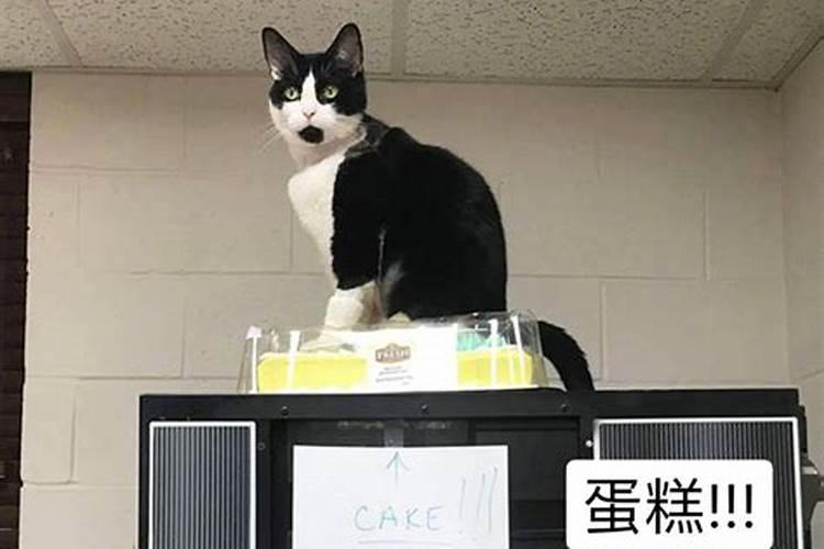 正月初一家里水管突然崩裂是什么兆头