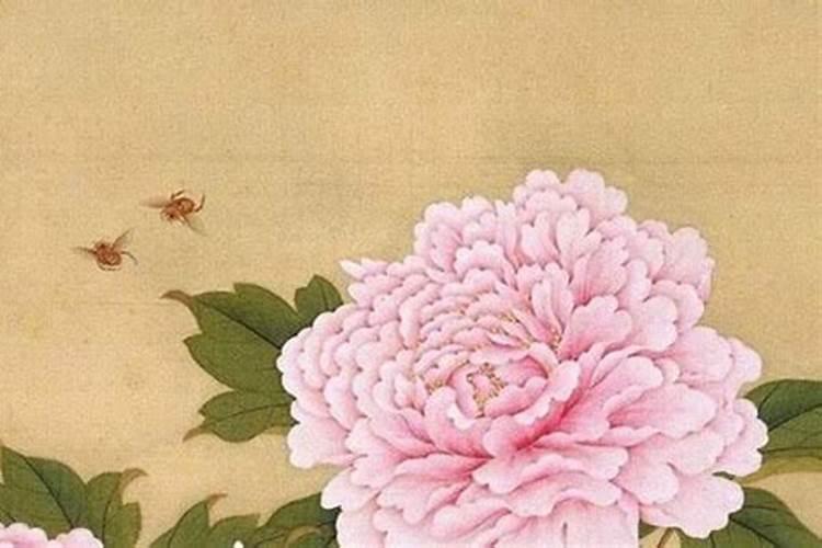 难忘的一次活动 作文 500字
