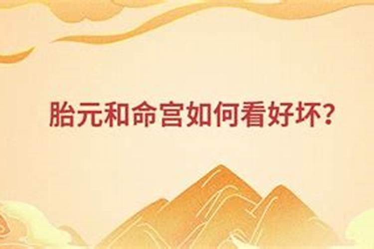 家养什么植物最旺文昌