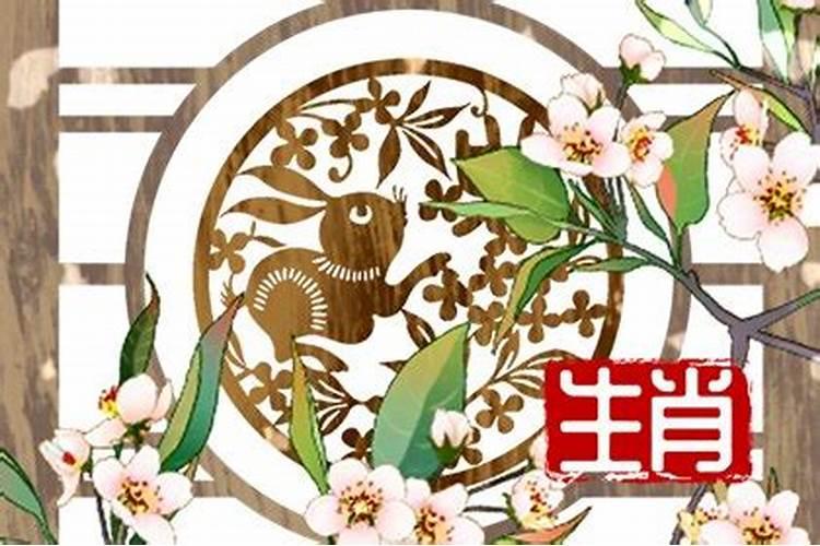 腊月兔出生的是什么命运如何