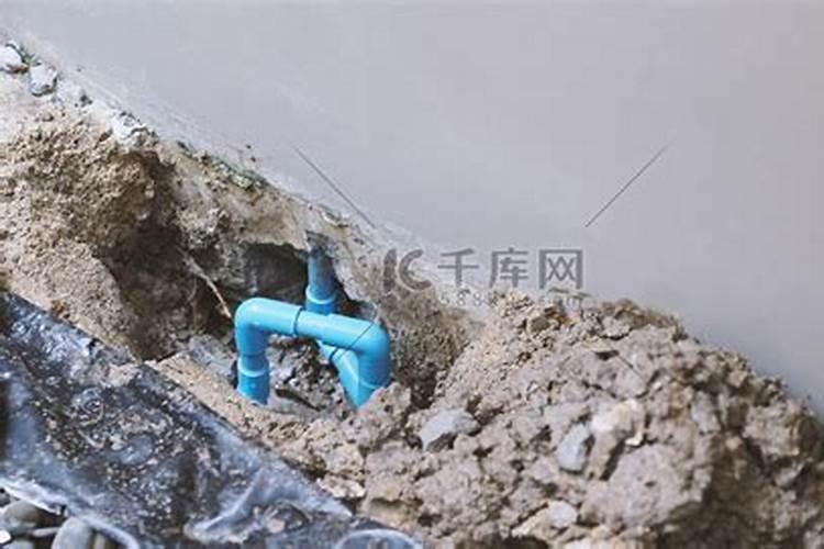 佛山丹灶哪里野钓好,春季仙湖旅游攻略