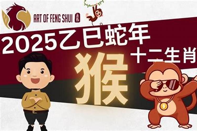 属猴人龙年财运如何 属猴人龙年运势如何