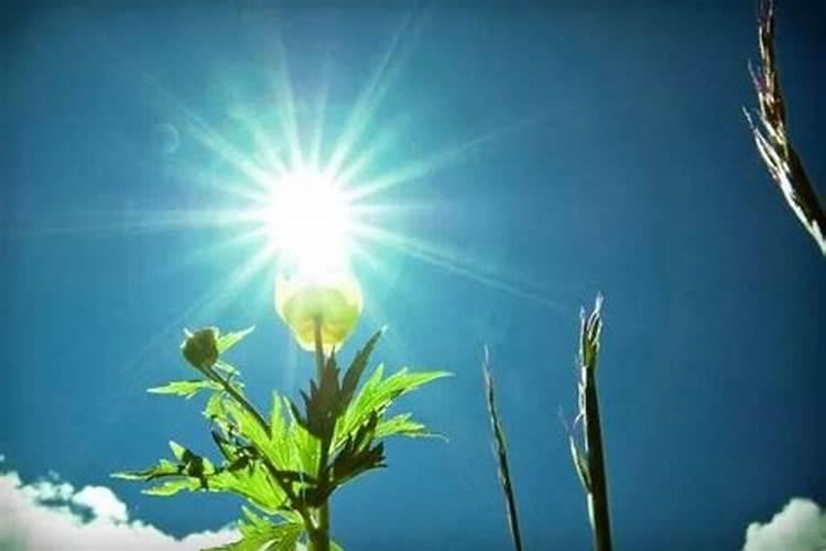 六安,别人人逝世后自己家门前的红布怎么处理？？？外地人第一次遇见这样...