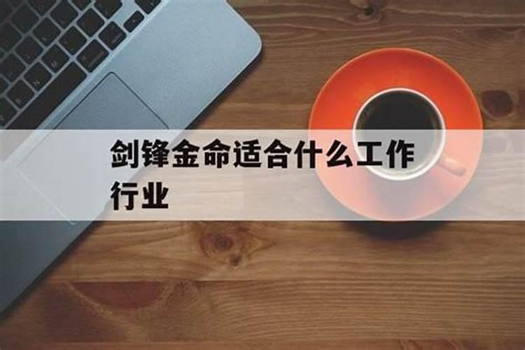 剑锋金命,适合干什么行业。1993年8.8.的