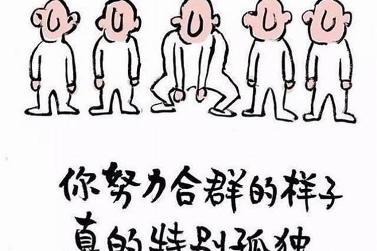 八字不合孤苦无依的动物是什么