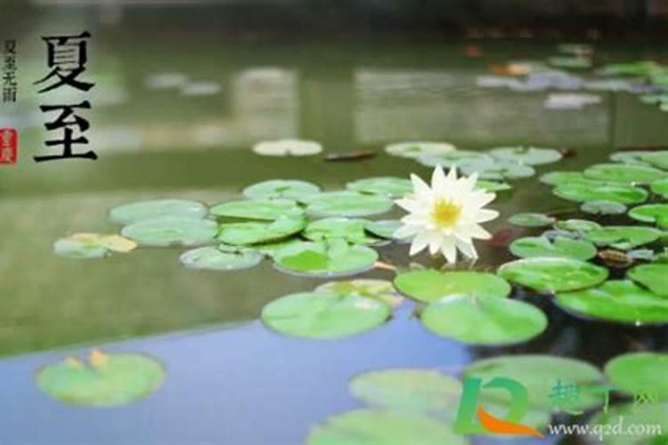 请问一下夏天从什么时候开始？夏至日以后才算夏天吗？