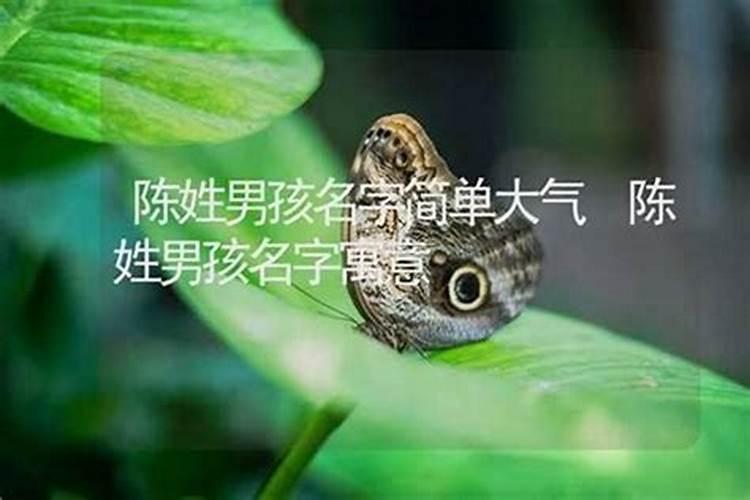 男孩单字的大气的名字